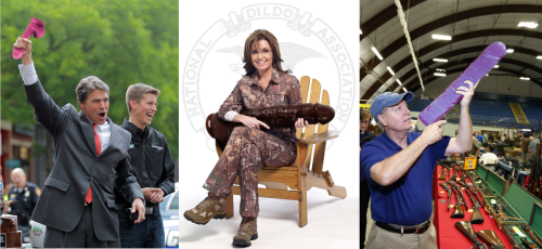gun control, nra, sarah palin, rick perry
