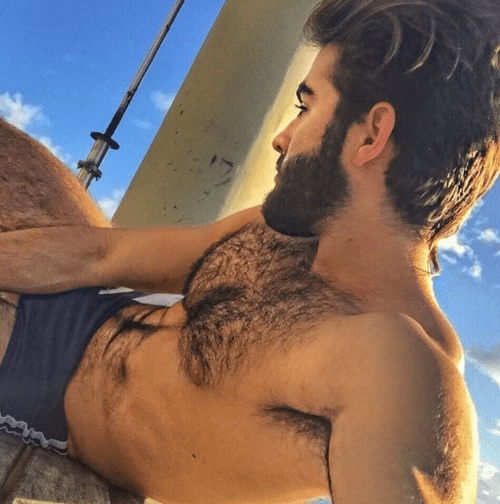 hairy chest, handsome, beard, muscle, hairy, hunk