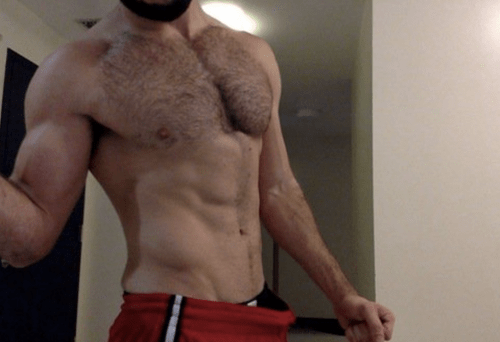 hunk, chest, abs, hairy, male torso