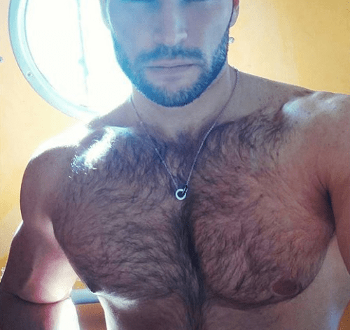 hairy, hunk