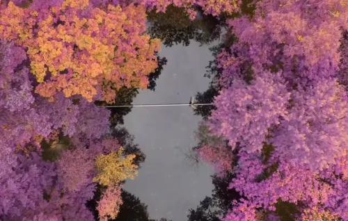 Louis Boniface, Olivier Pierre