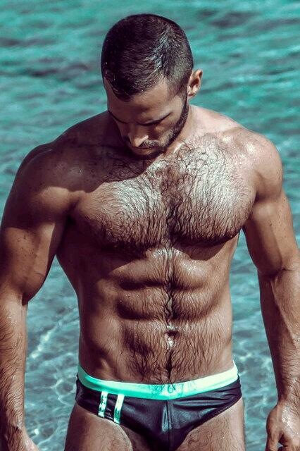 bonus fur, hairy, abs