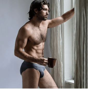 abdominals, abs, underwear, hairy, hunk