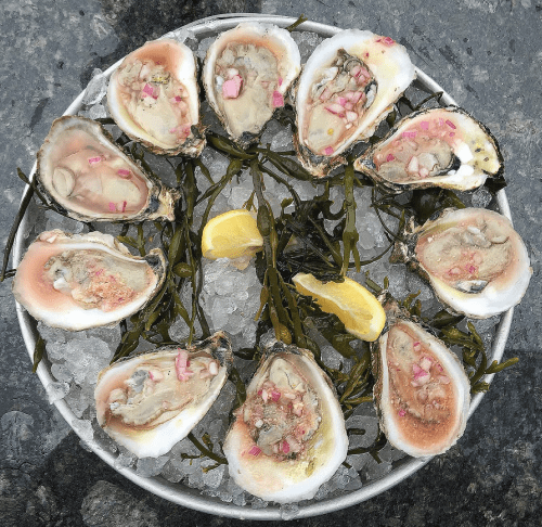 National Oyster Day, shellfish, seafood