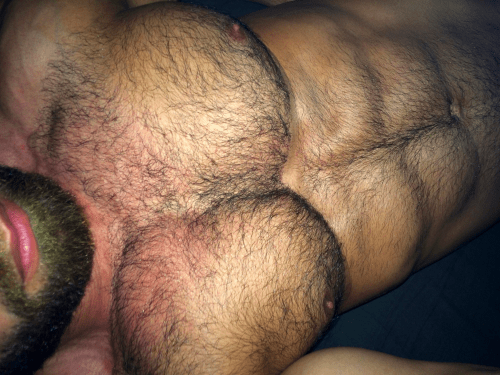hairy, muscles, furry, sexy