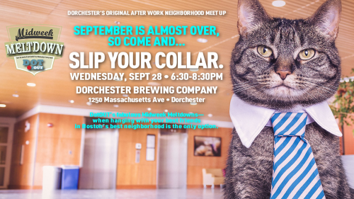 DotOUT Boston, gay boston