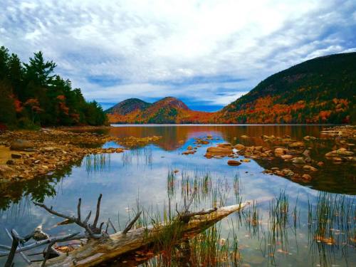New England foliage, fall foliage