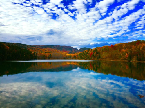 New England foliage, fall foliage