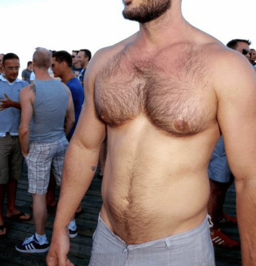 hairy chest, chest hair