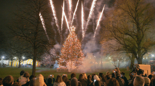 boston-common-tree-lighting