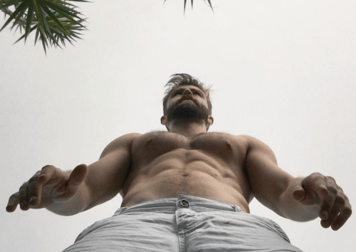 male muscles, male body hair