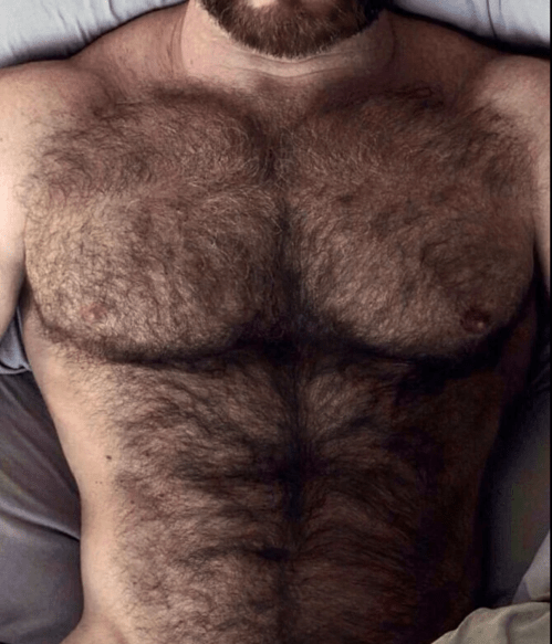 hairy chest, hairy, muscles