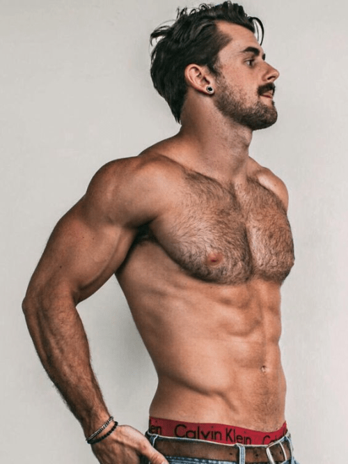 handsome, hairy, hairy chest, abs, muscles, hunk