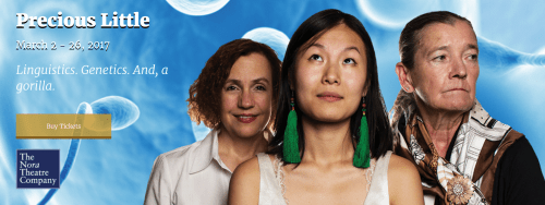 bosarts, boston theater