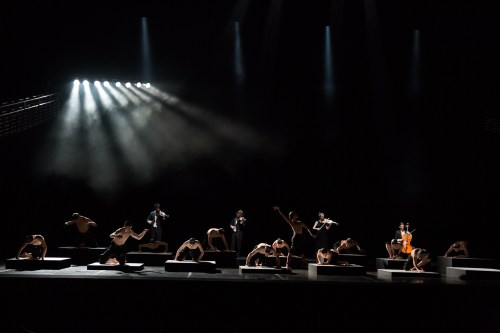 bosarts, dance, boston arts