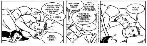 gay comic, gay cartoon