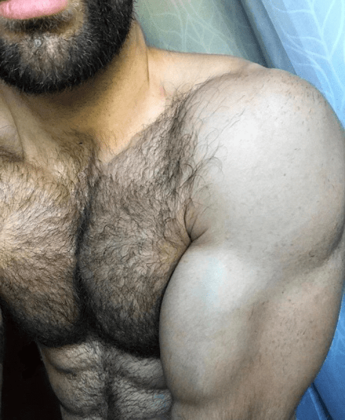 hairy, muscles