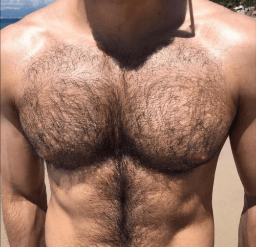 hairy chest