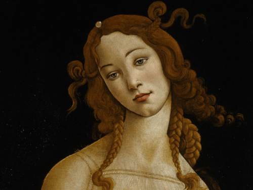 bosarts, museum of fine arts boston, 