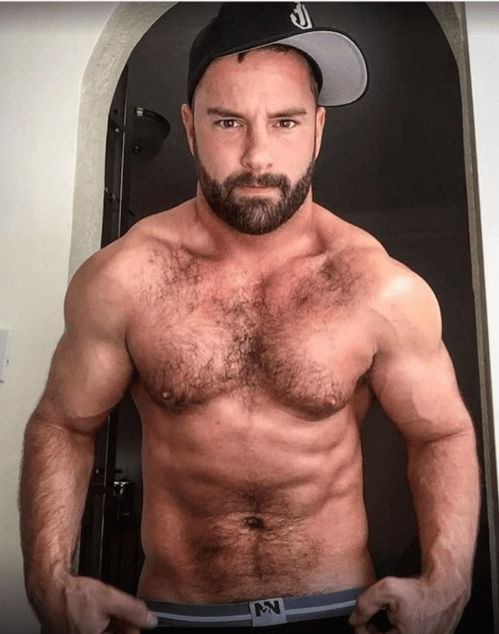 hairy, furry, handsome