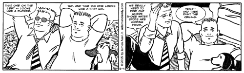 James Asal Jr., gay comic, gay cartoon