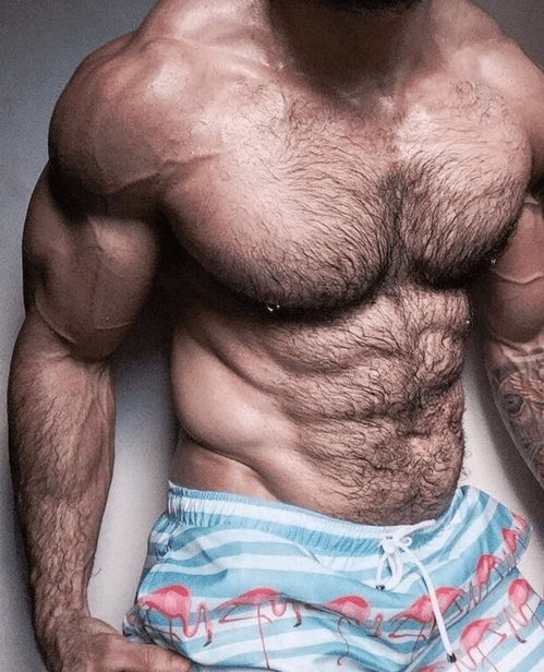 hairy chest, muscles