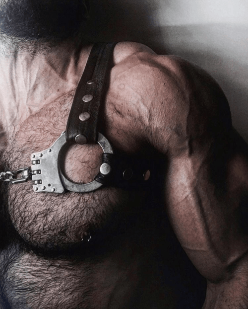 leather, muscle, hairy chest