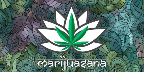 Marijuasana, marijuana yoga, Stacey Mulvey