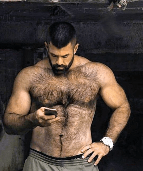 hairy chest, male torso, furry