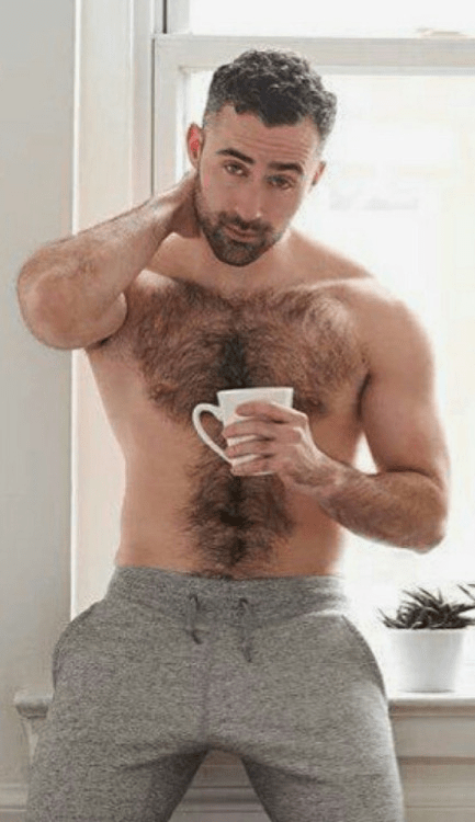 handsome, hunk, hairy chest