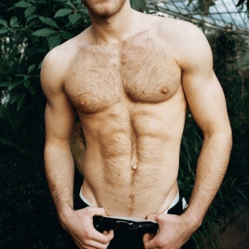 hairy torso, muscles