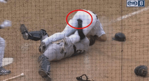 baseball sports humor