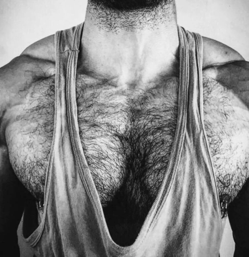 hairy chest
