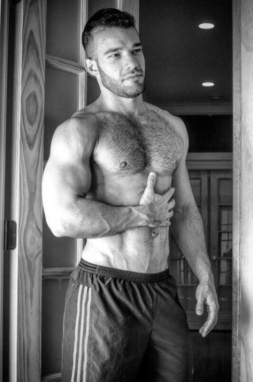 handsome, hairy, hunk, muscular guy