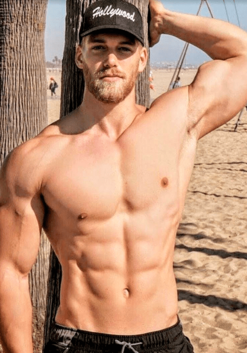 handsome, hunk, abs, muscles