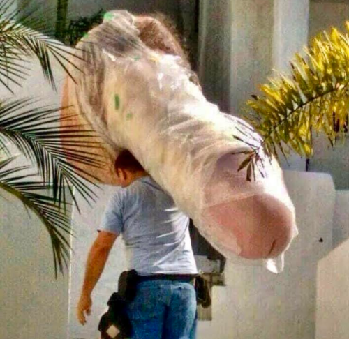 size matters, penis art, humor