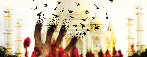 Central Square Theater, bosarts, theater