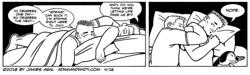 gay comic strip, gay cartoon, james asal jr.