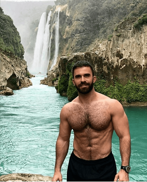 handsome, hairy, hunk, beautiful man, hairy chest