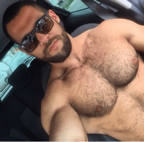 handsome, hunk, hairy chest