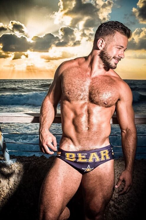 gay boston, gay bear, mass bears and cubs
