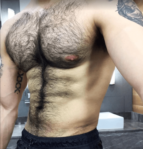 gay boston, hairy chest