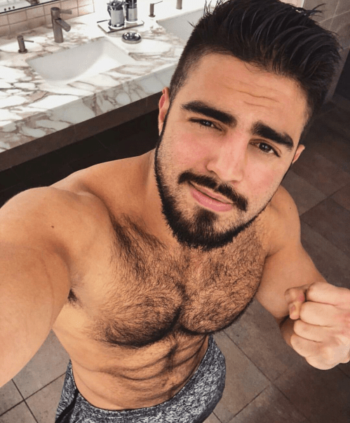 handsome, hunk, hairy, furry chest