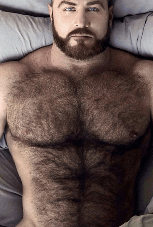 hairy, hunk, naked in bed, handsome, furry