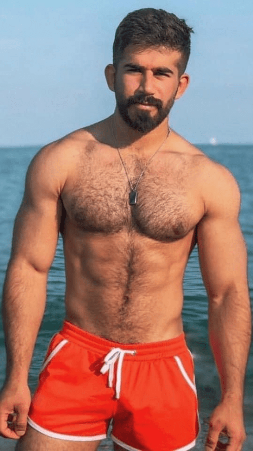 handsome, hunk, hairy guy, man candy