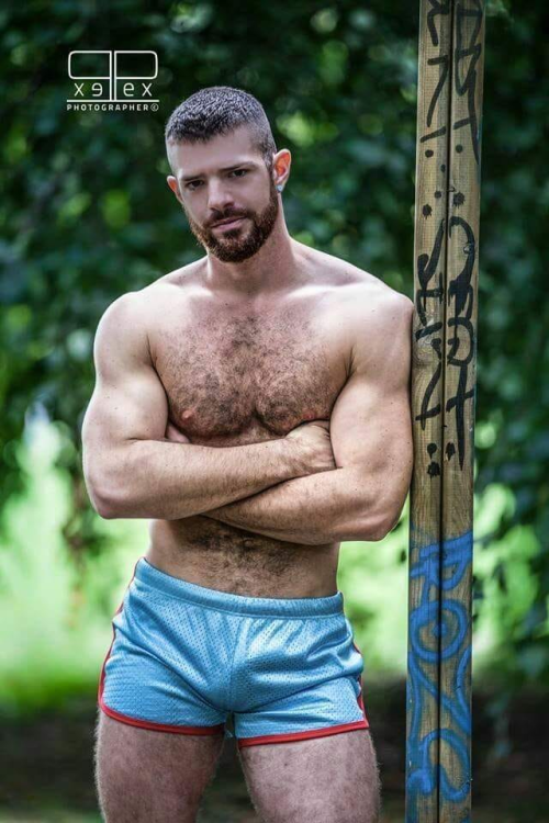 handsome, hunk, hairy man, sexy guy, muscular guy, man candy