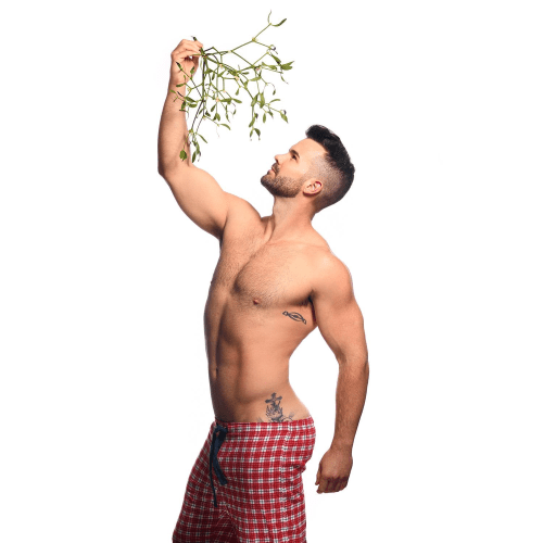 xmas, holiday season, mistletoe, hunk, handsome, underwear
