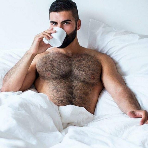 handsome, hunk, man in bed