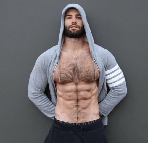 handsome, hunk, hairy man