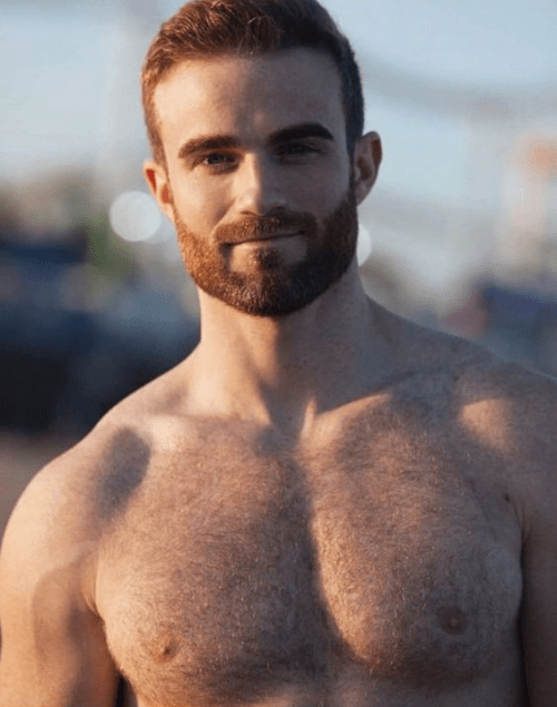 handsome, hunk, hairy man